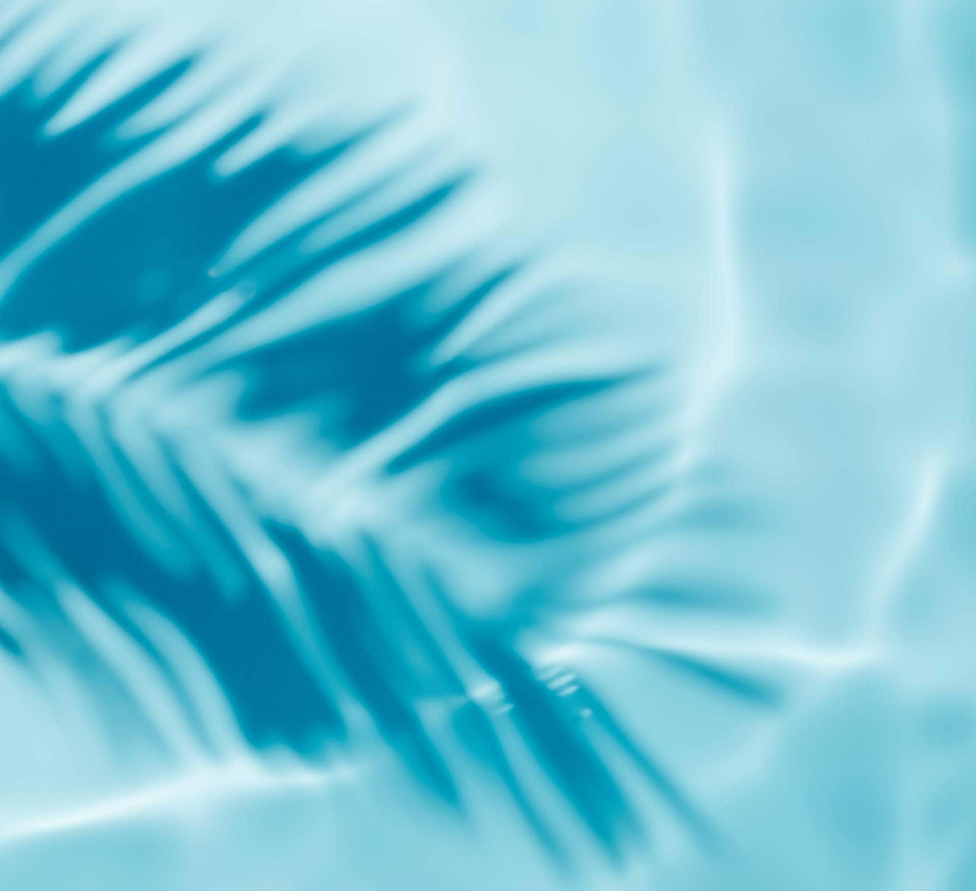 Aqua waves and coconut palm shadow on blue background pool