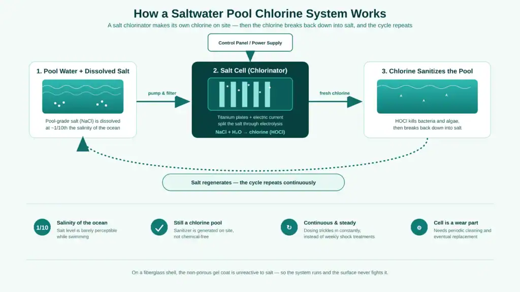 Saltwater pool chlorine system diagram
