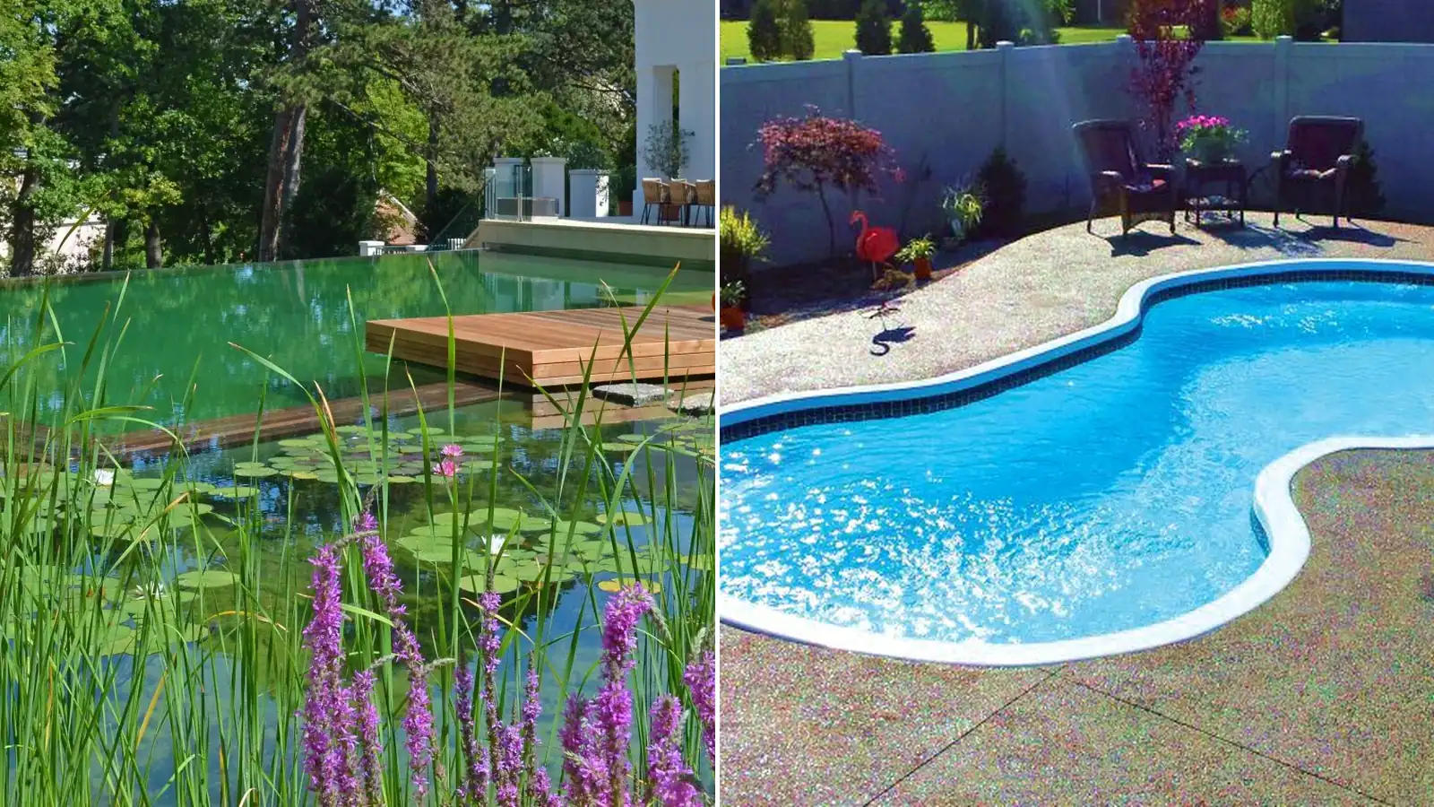 Featured image for “Fiberglass vs. Natural Swimming Pools: A Practical Cost and Maintenance Comparison”